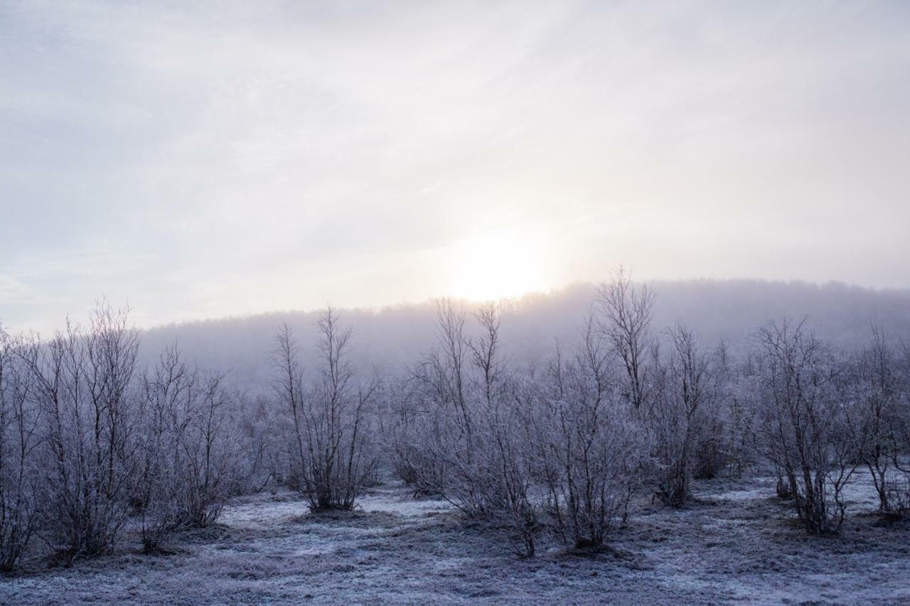 Lohi-Aslakin Lomamoekit Villa Utsjoki Luaran gambar